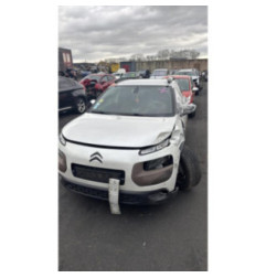 Mastervac CITROEN C4 CACTUS Photo n°6