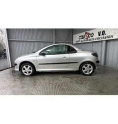 Porte avant droit PEUGEOT 206 Photo n°3