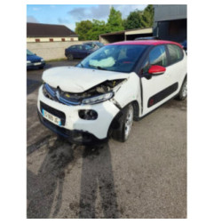 Porte arriere gauche CITROEN C3 3 Photo n°6