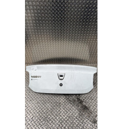 Malle/Hayon arriere DACIA LOGAN 2 Photo n°1