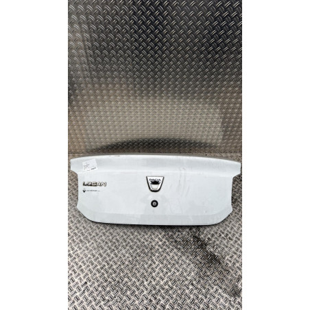 Malle/Hayon arriere DACIA LOGAN 2 Photo n°1