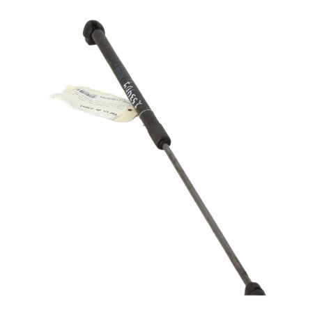 Verin de capot RENAULT MEGANE 3