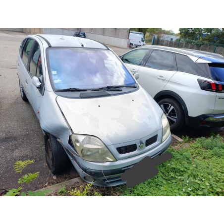 Porte arriere gauche RENAULT SCENIC 1 Photo n°1