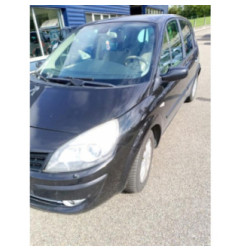 Porte avant droit RENAULT SCENIC 2 Photo n°10