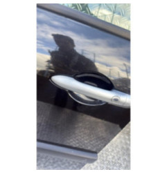 Porte avant gauche RENAULT SCENIC 2 Photo n°4