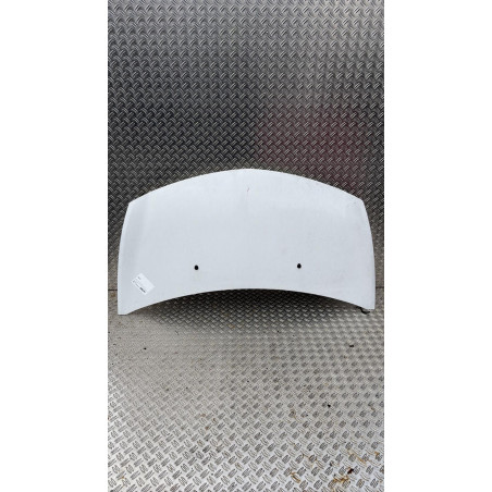 Capot RENAULT CLIO 3 Photo n°1