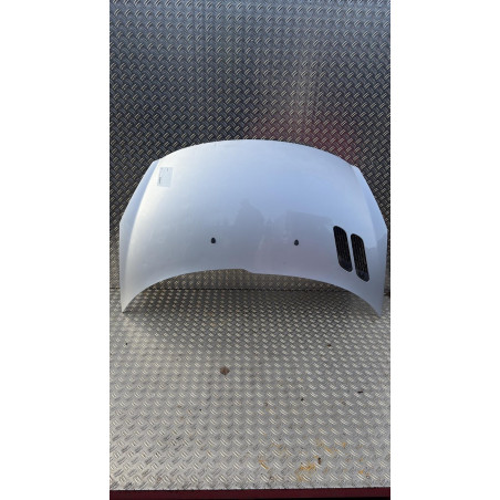 Capot PEUGEOT 206+ Photo n°1