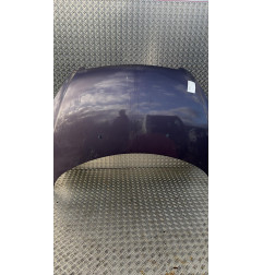 Capot PEUGEOT 307 Photo n°1