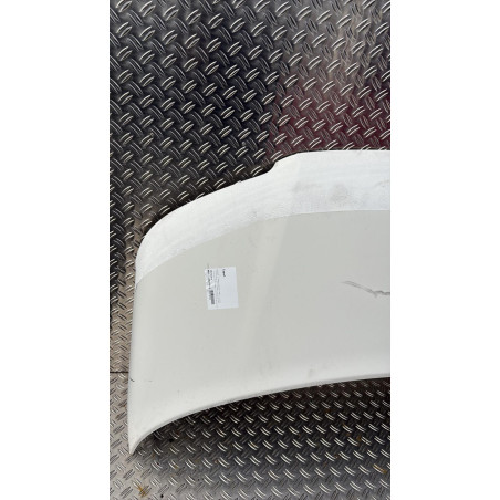 Capot VOLKSWAGEN TRANSPORTER 5