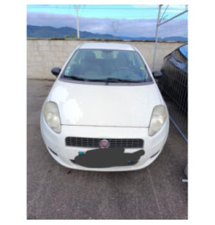 Ceinture avant gauche FIAT GRANDE PUNTO Photo n°3