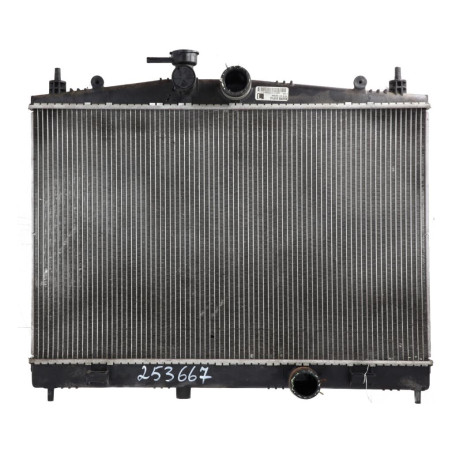 Radiateur eau NISSAN JUKE 1 Photo n°1