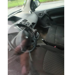 Antenne RENAULT KANGOO 2