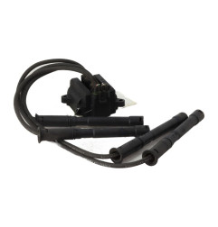 Bobine (allumage) RENAULT TWINGO 1 Photo n°1