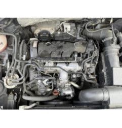 Feu arriere principal droit (feux) VOLKSWAGEN TIGUAN 1 Photo n°14