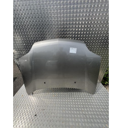 Capot NISSAN X-TRAIL 1 Photo n°2