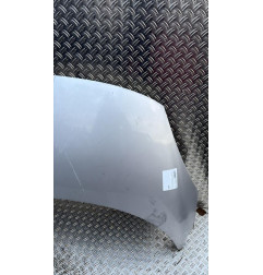 Capot RENAULT SCENIC 3 Photo n°3