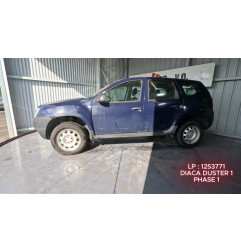 Porte arriere gauche DACIA DUSTER 1 Photo n°6