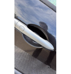 Porte avant droit RENAULT SCENIC 2 Photo n°4