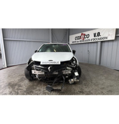 Malle/Hayon arriere RENAULT CLIO 4 Photo n°1