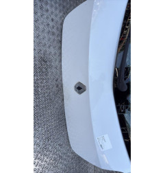 Malle/Hayon arriere RENAULT CLIO 3 Photo n°3