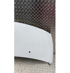 Capot RENAULT CLIO 3 Photo n°3