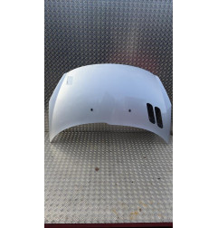 Capot PEUGEOT 206+ Photo n°1