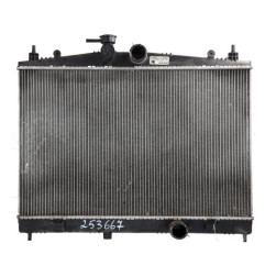 Radiateur eau NISSAN JUKE 1 Photo n°1