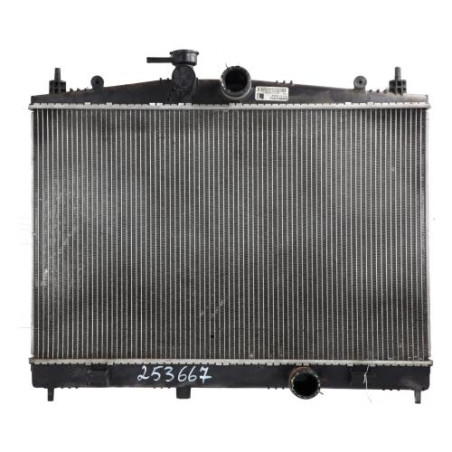 Radiateur eau NISSAN JUKE 1 Photo n°1