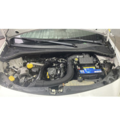 Porte arriere gauche RENAULT CLIO 3