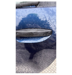 Porte arriere gauche DACIA LODGY Photo n°4