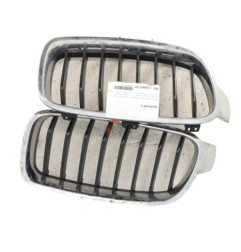 Calandre BMW SERIE 3 F30 Photo n°1