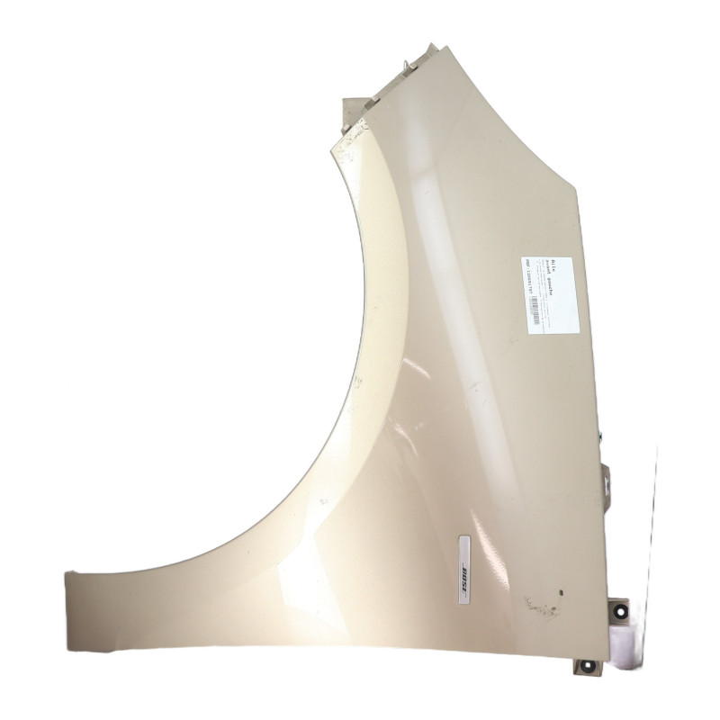 Aile avant gauche RENAULT SCENIC 3