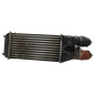 Echangeur air (Intercooler) CITROEN DS3
