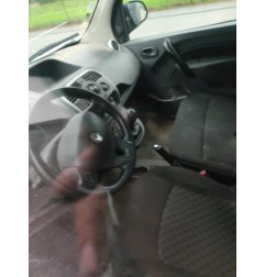 Calandre RENAULT KANGOO 2 Photo n°3