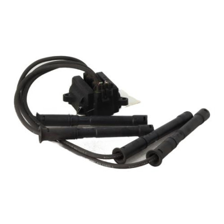 Bobine (allumage) RENAULT TWINGO 1 Photo n°1