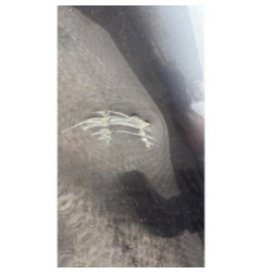 Porte avant gauche BMW SERIE 4 F33 Photo n°6