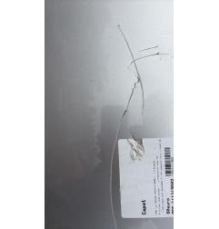 Capot FORD FIESTA 5 Photo n°6