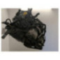 Moteur RENAULT KANGOO 2