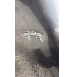 Porte avant gauche BMW SERIE 4 F33 Photo n°6