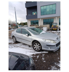Baguette de porte avant gauche PEUGEOT 407
