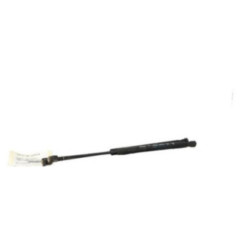 Verin de coffre PEUGEOT 3008 1