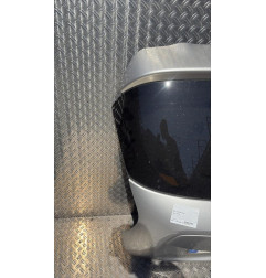 Malle/Hayon arriere NISSAN JUKE 1 Photo n°2