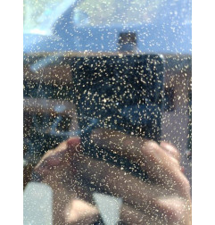 Com (Bloc Contacteur Tournant+Commodo Essuie Glace+Commodo Phare) BMW SERIE 1 E87 Photo n°5