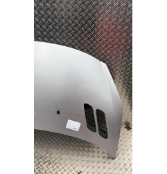Capot PEUGEOT 206+