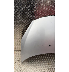 Capot PEUGEOT 206+ Photo n°3