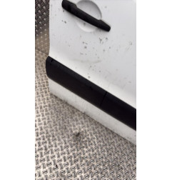 Porte avant droit PEUGEOT PARTNER 2 Photo n°4