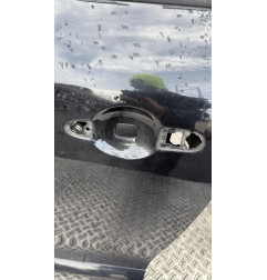 Porte avant gauche RENAULT MEGANE 3 Photo n°4