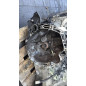 Boite de vitesses RENAULT CLIO 3