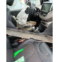 Porte avant gauche PEUGEOT 208 1 Photo n°9