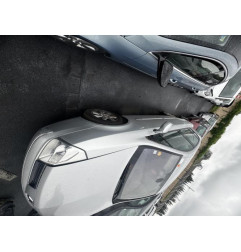 Feu arriere principal gauche (feux) RENAULT VEL SATIS Photo n°8